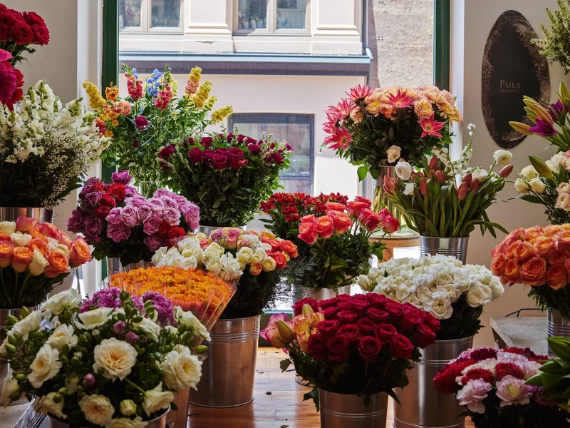 Interno luminoso di un negozio di fiori con secchi di fiori recisi in fila