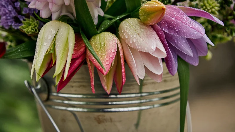 Dettaglio di petali freschi con gocce d'acqua e un secchio zincato di steli misti